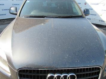 poza Audi Q7 3.0TDI 2006 Diesel