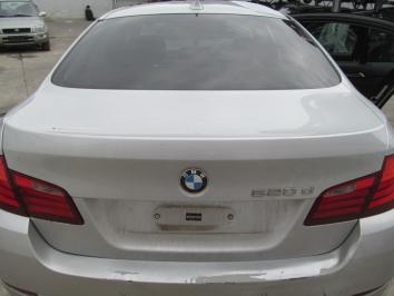 poza BMW 520 2.0D 2010 Diesel