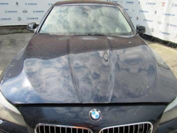 poza BMW 525 3.0D 2010 Diesel