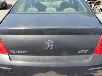 poza Peugeot 407 2.0HDI 2008 Diesel