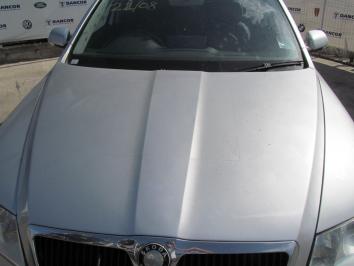 poza Skoda Octavia 1.9TDI 2008 Diesel